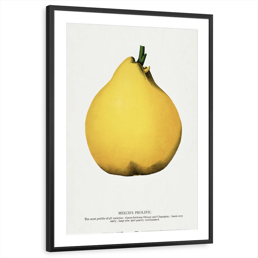 framed-print-black-matted