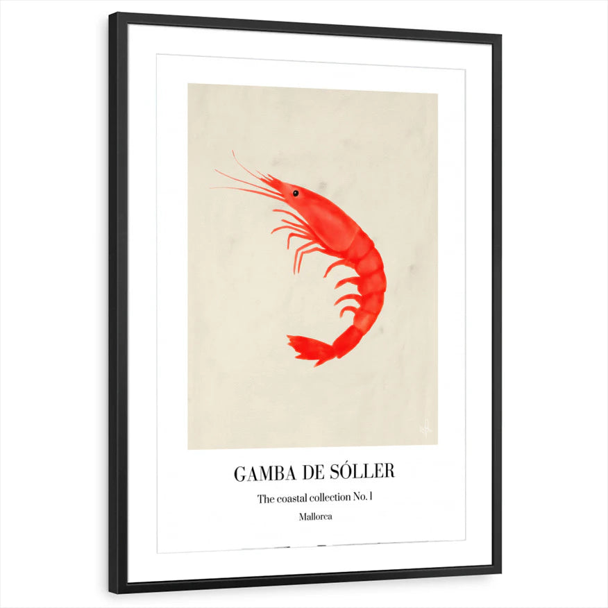 framed-print-black-matted