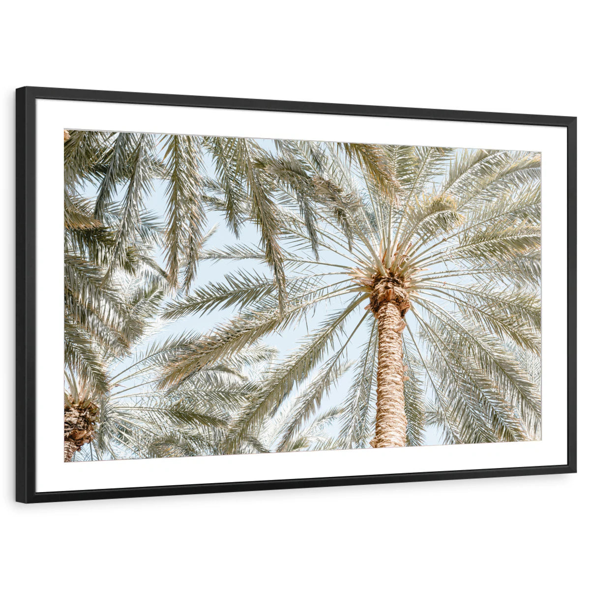 framed-print-black-matted