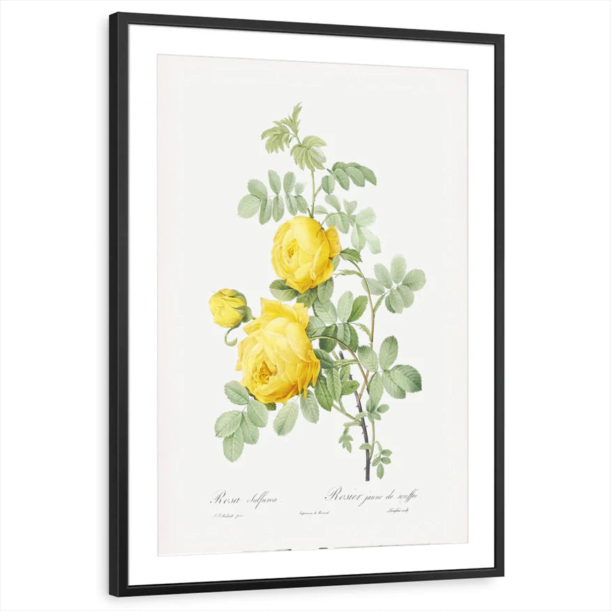 framed-print-black-matted