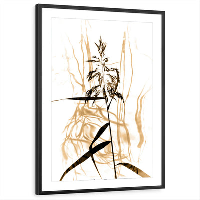framed-print-black-matted