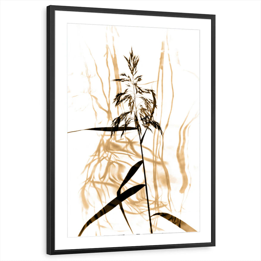 framed-print-black-matted