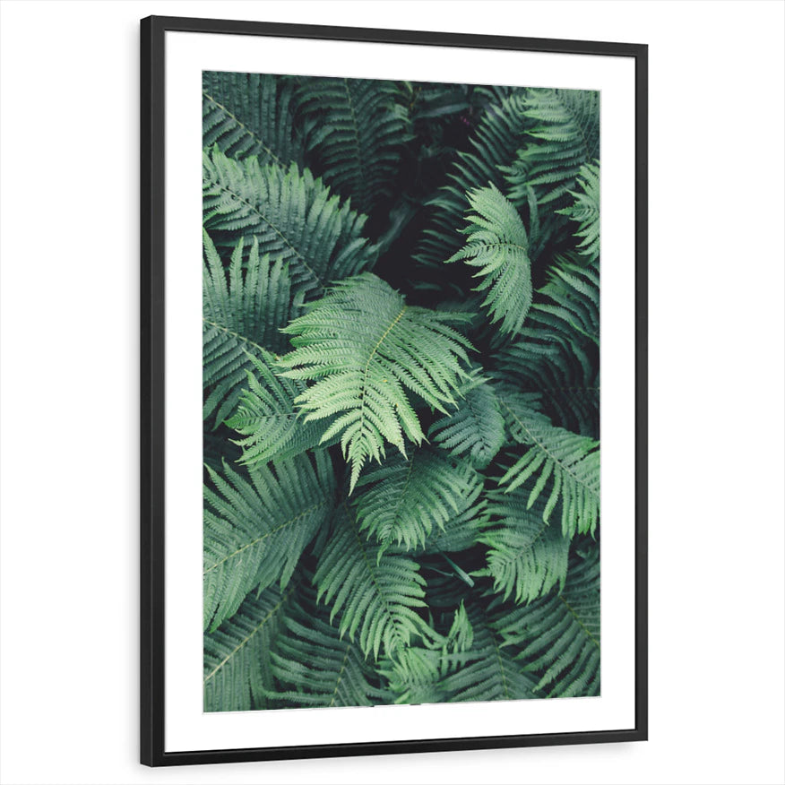 framed-print-black-matted
