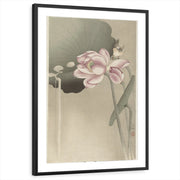 framed-print-black-matted