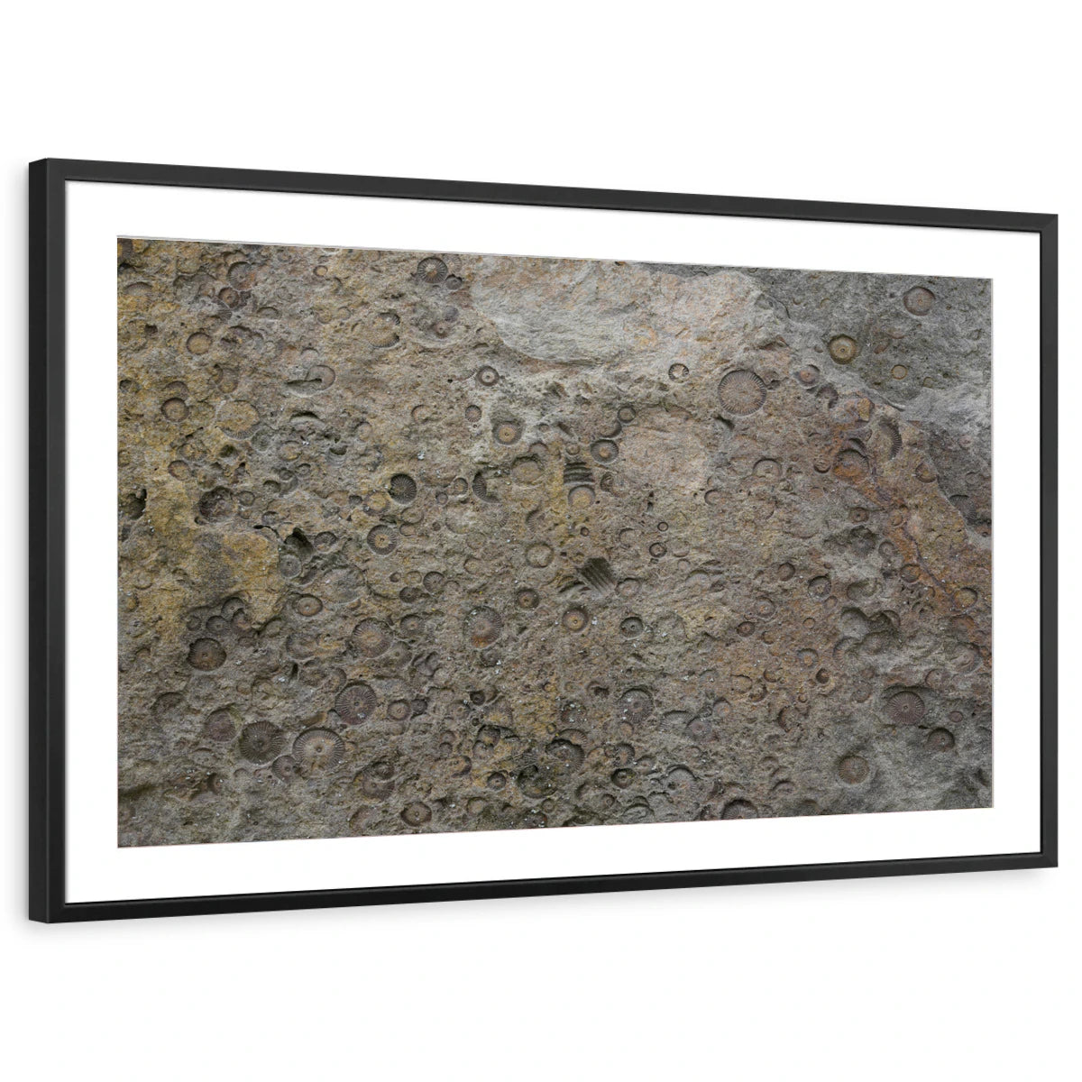 framed-print-black-matted