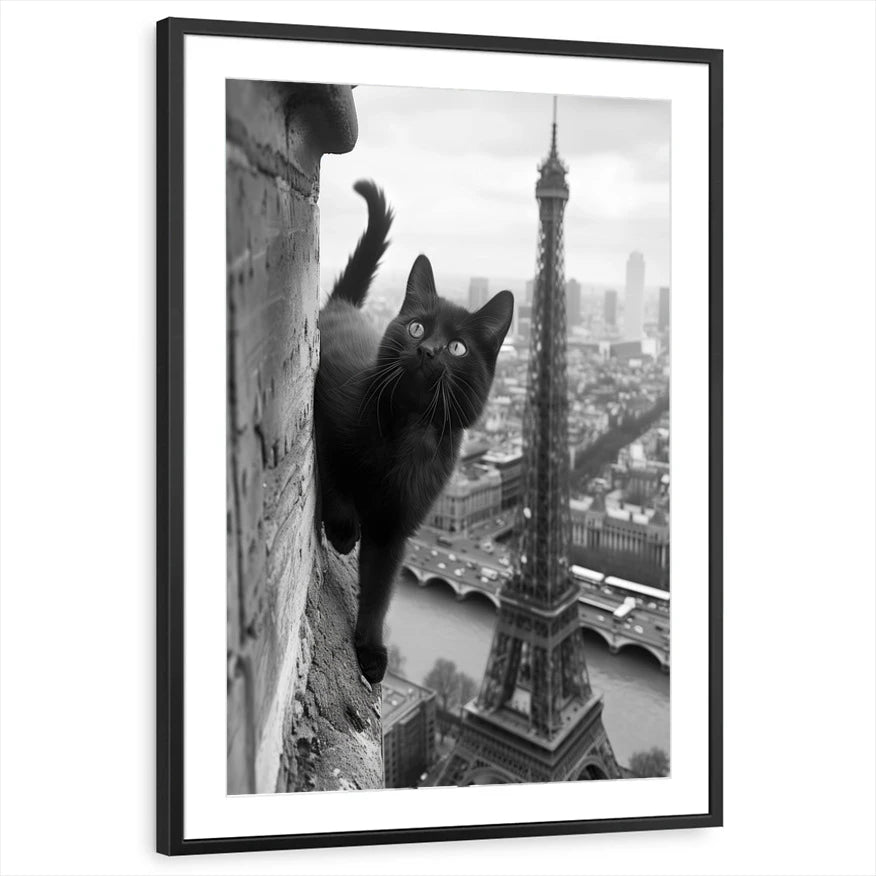 framed-print-black-matted