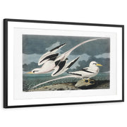 framed-print-black-matted