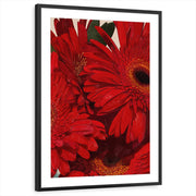 framed-print-black-matted