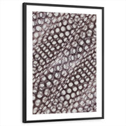 framed-print-black-matted
