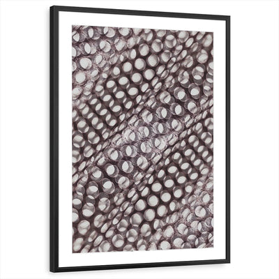 framed-print-black-matted