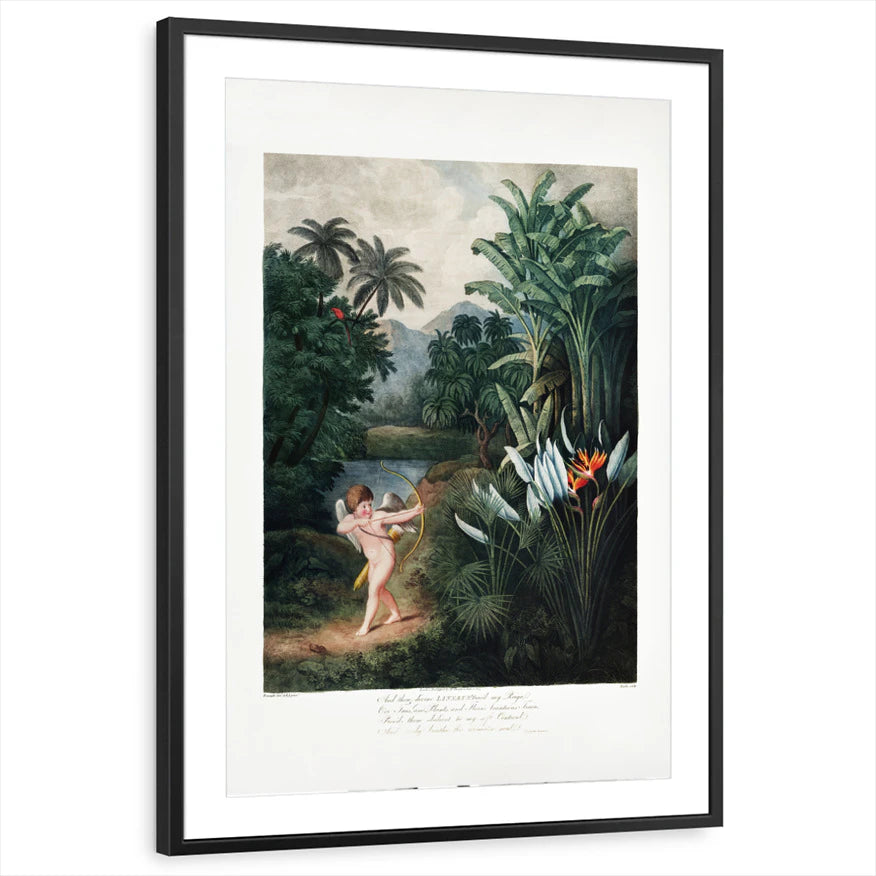 framed-print-black-matted