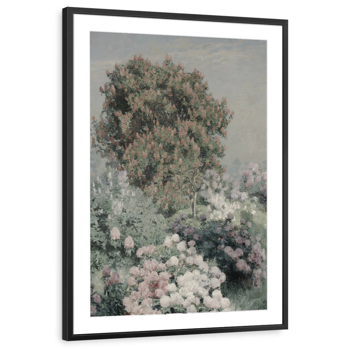 framed-print-black-matted