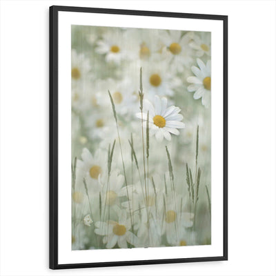 framed-print-black-matted
