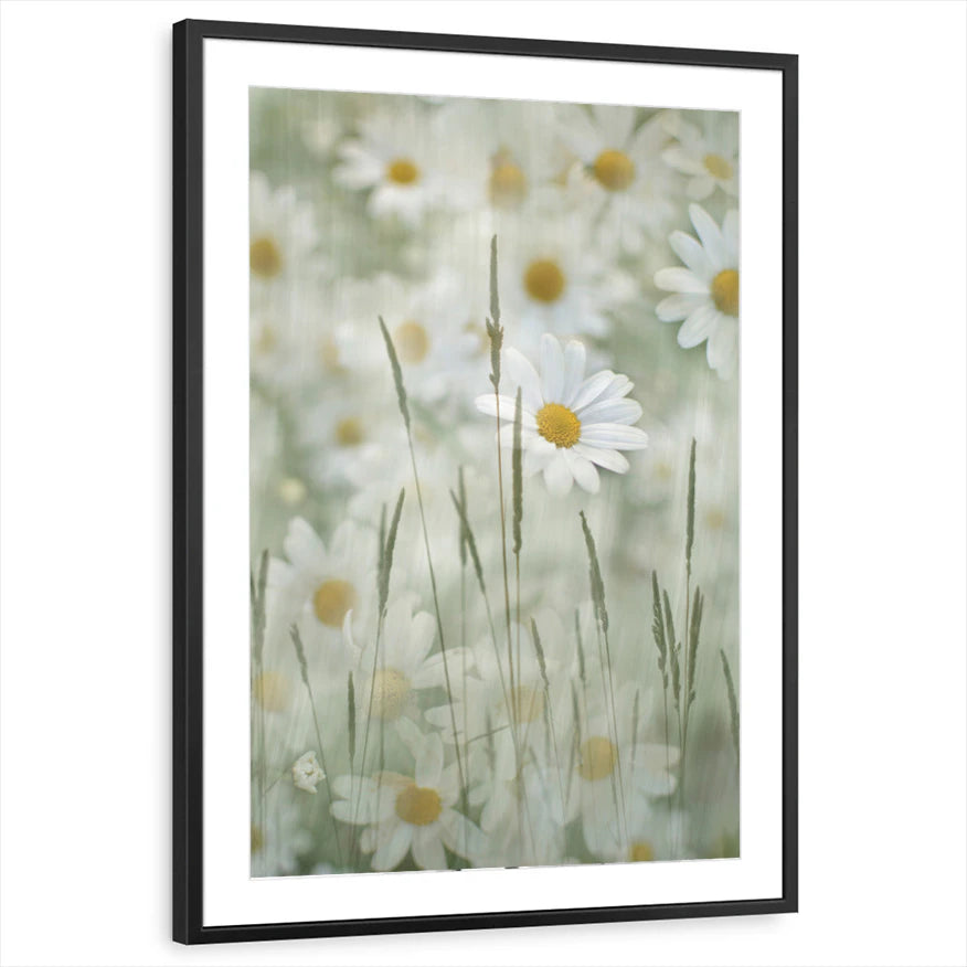 framed-print-black-matted