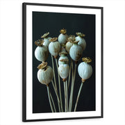 framed-print-black-matted