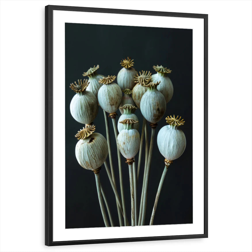 framed-print-black-matted