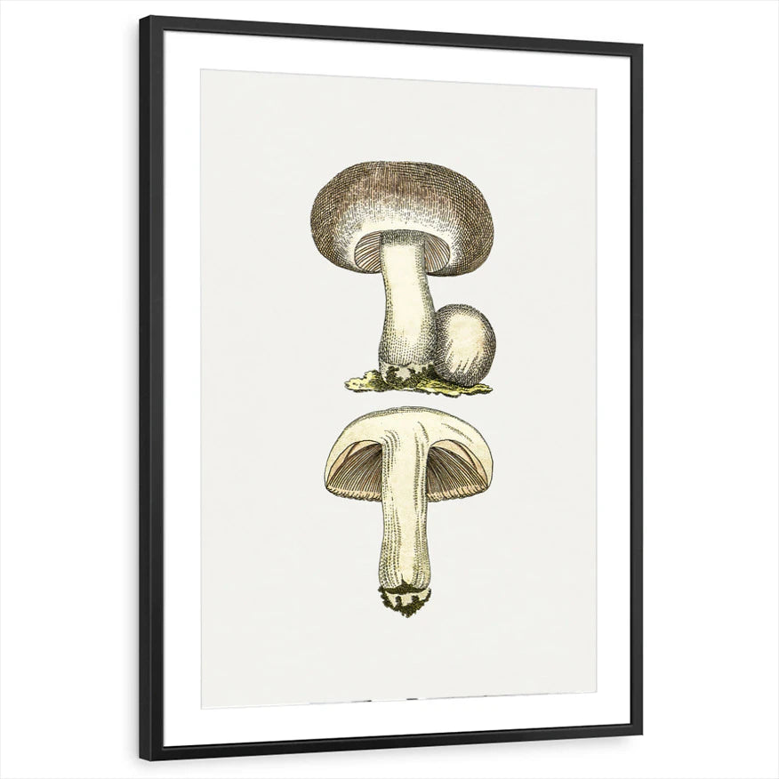framed-print-black-matted