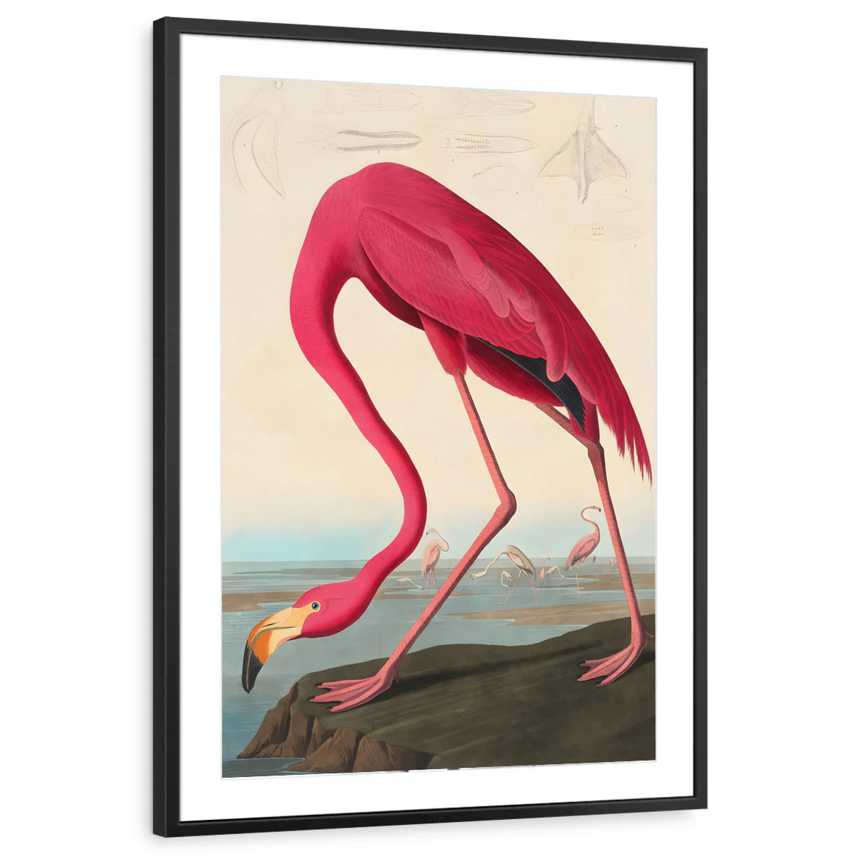 framed-print-black-matted