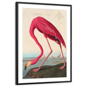 framed-print-black-matted