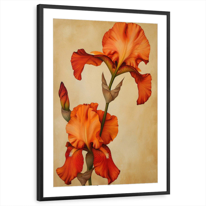 framed-print-black-matted