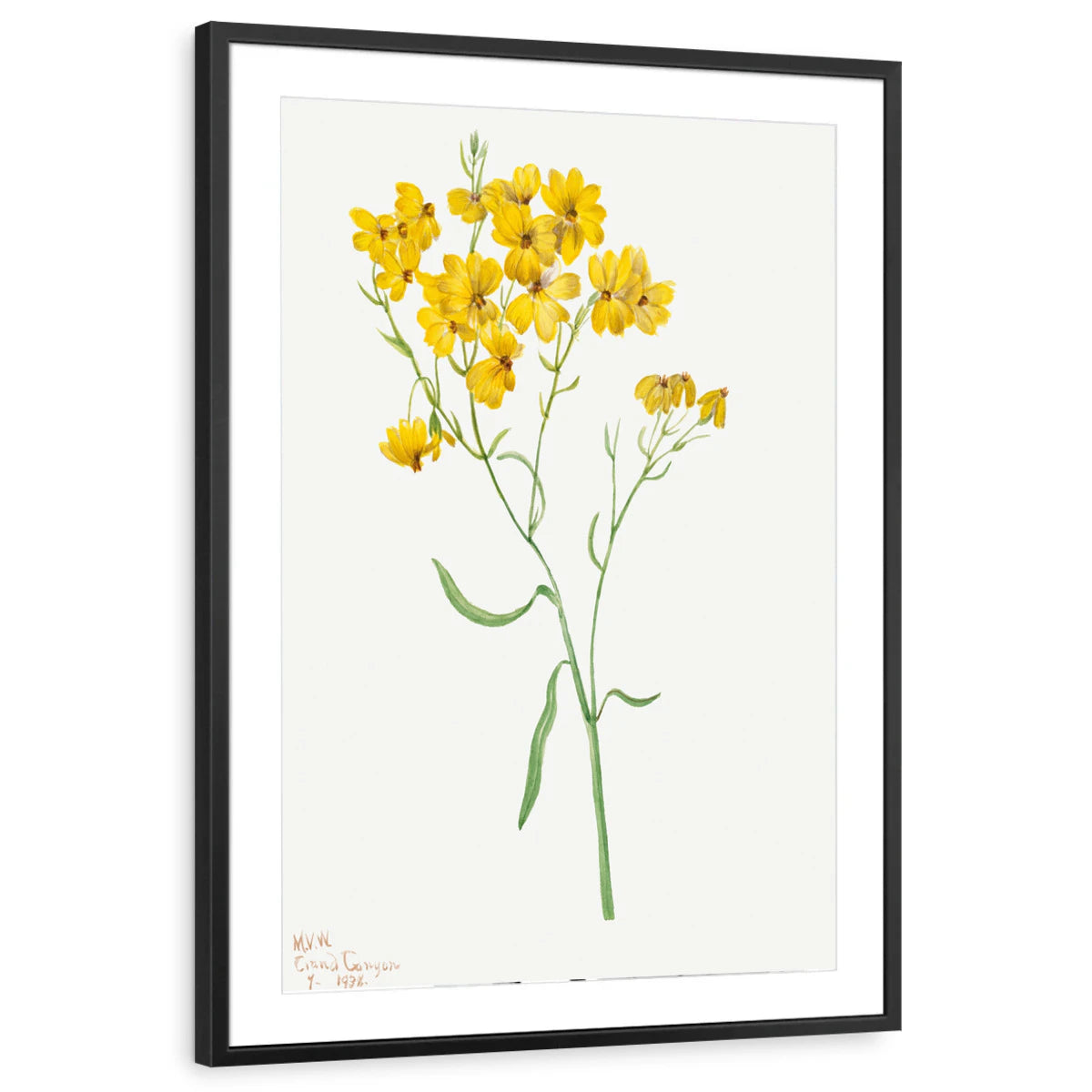 framed-print-black-matted