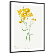 framed-print-black-matted