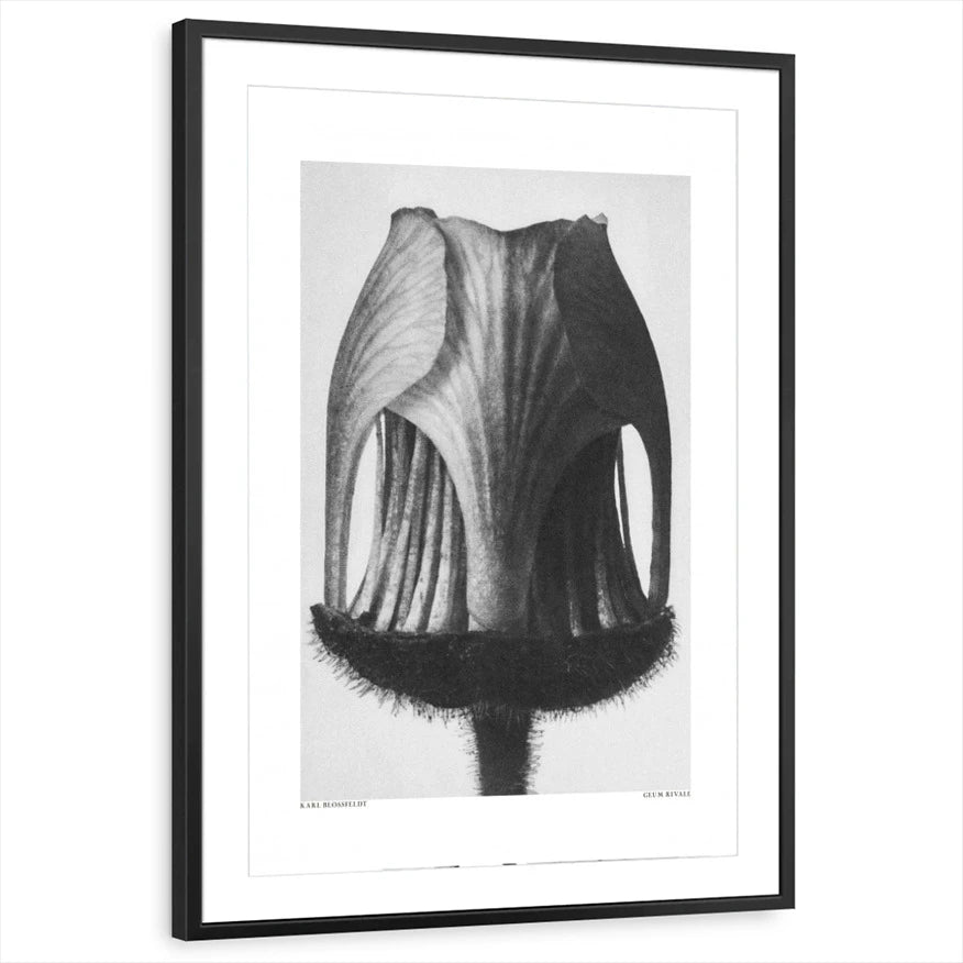 framed-print-black-matted