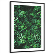 framed-print-black-matted