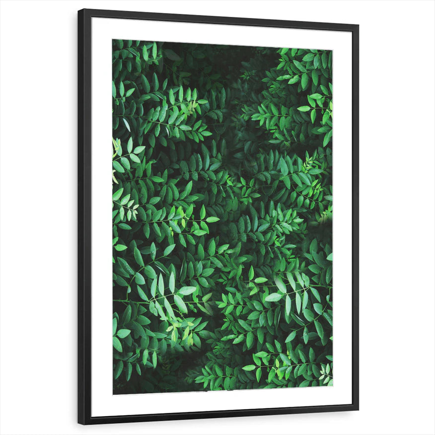 framed-print-black-matted