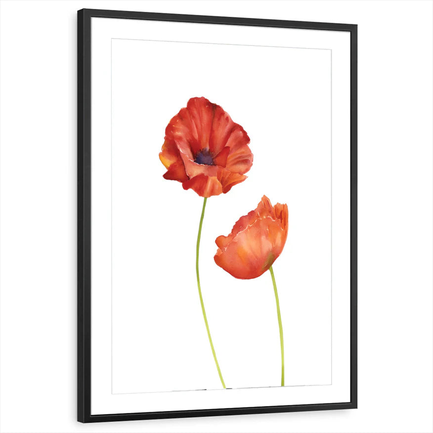 framed-print-black-matted