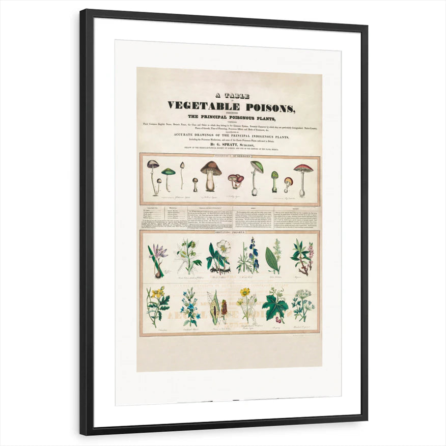 framed-print-black-matted