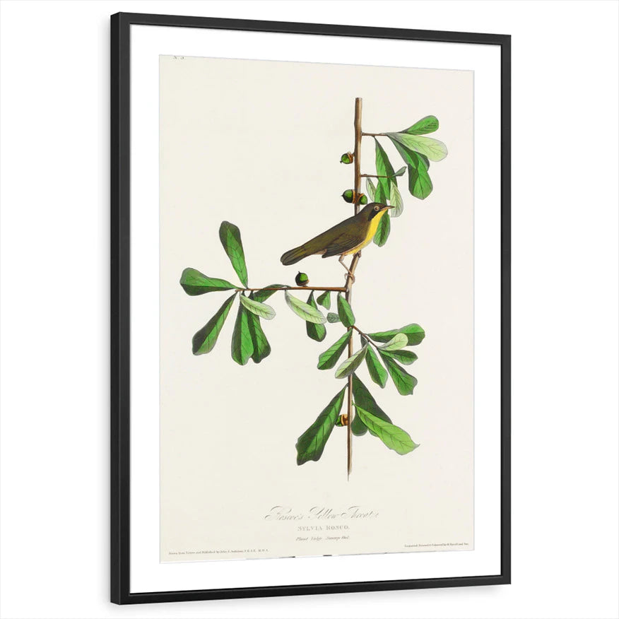 framed-print-black-matted