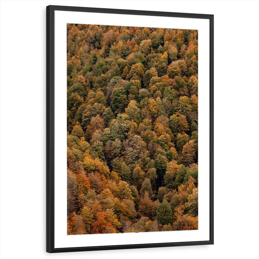 framed-print-black-matted