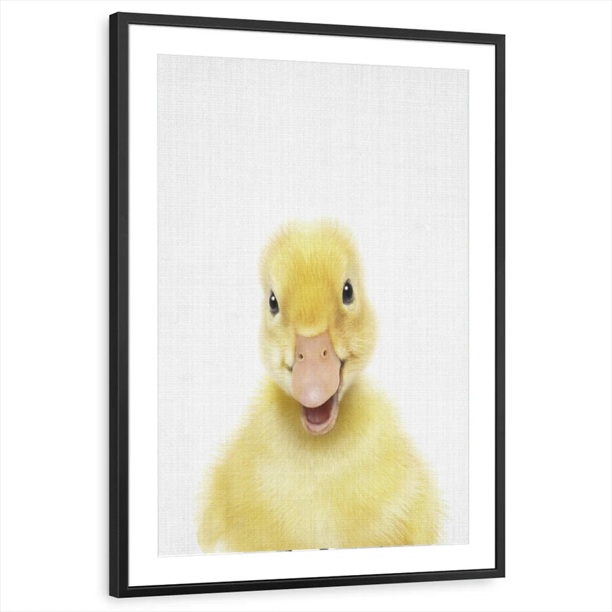 framed-print-black-matted