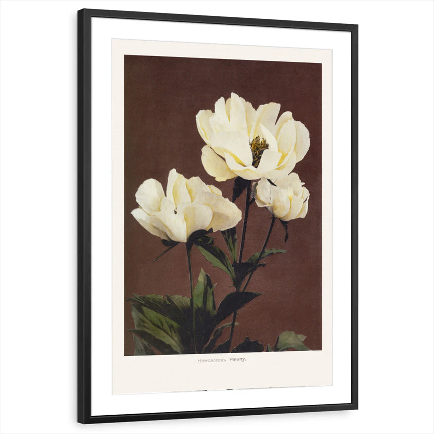 framed-print-black-matted