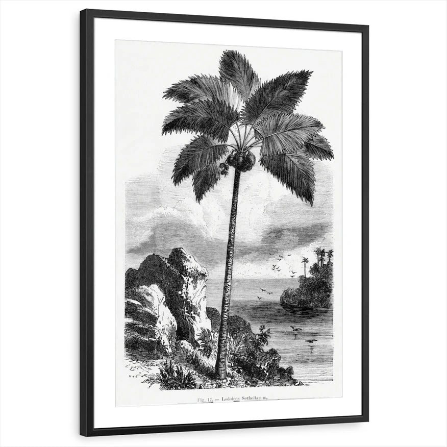 framed-print-black-matted
