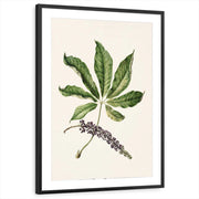 framed-print-black-matted