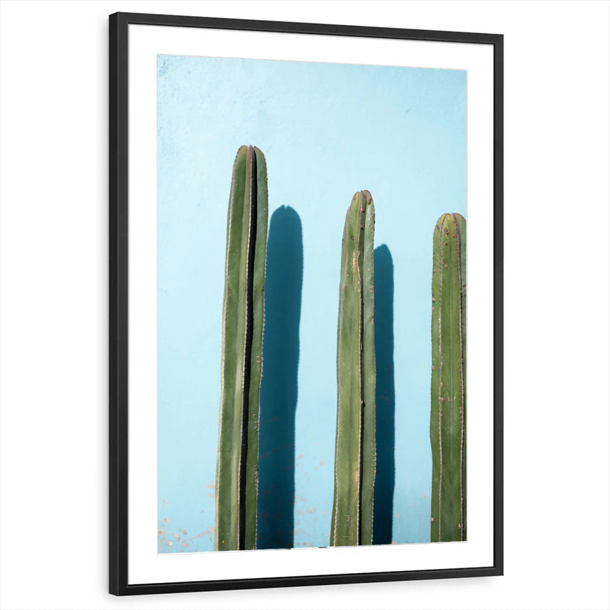 framed-print-black-matted