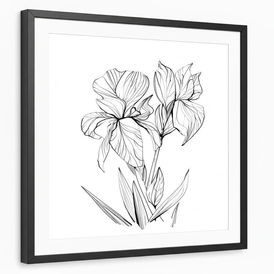 framed-print-black-white-border