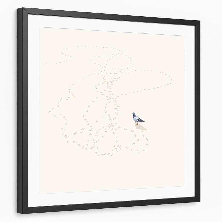 framed-print-black-white-border