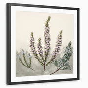 framed-print-black-white-border