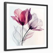 framed-print-black-white-border