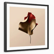 framed-print-black-white-border