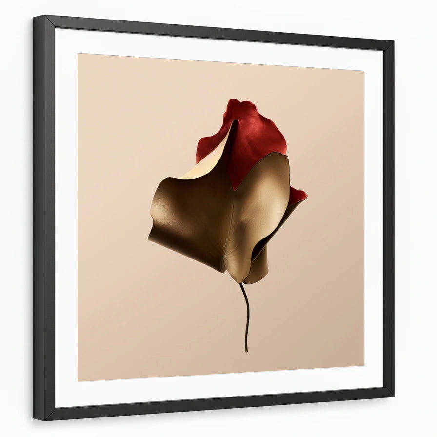 framed-print-black-white-border
