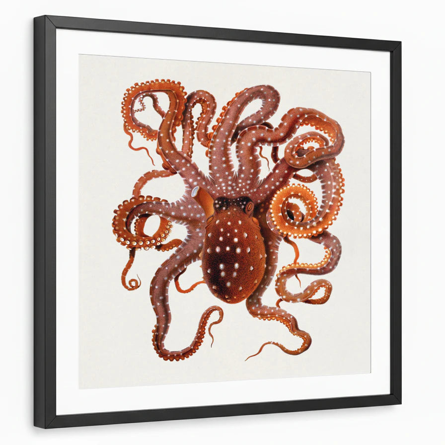 framed-print-black-white-border