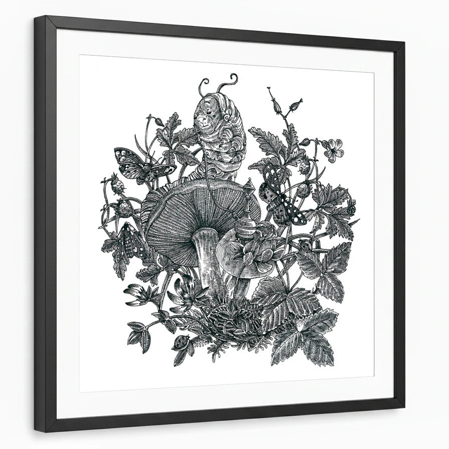 framed-print-black-white-border