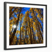 framed-print-black-white-border