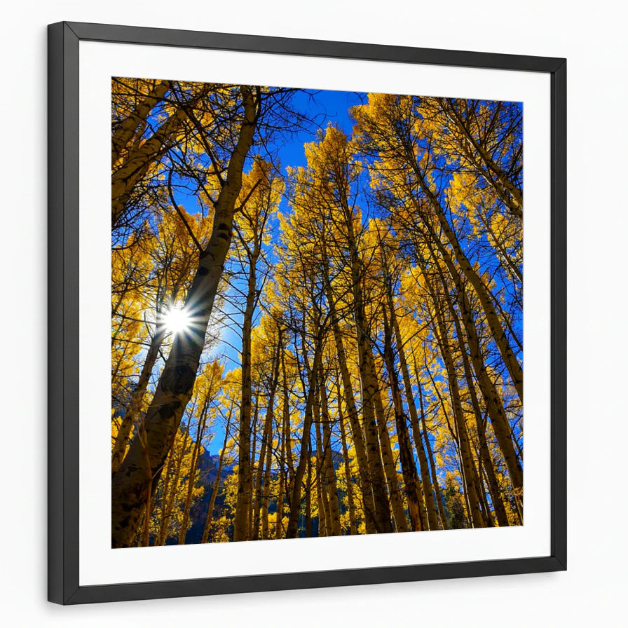 framed-print-black-white-border