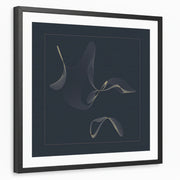framed-print-black-white-border