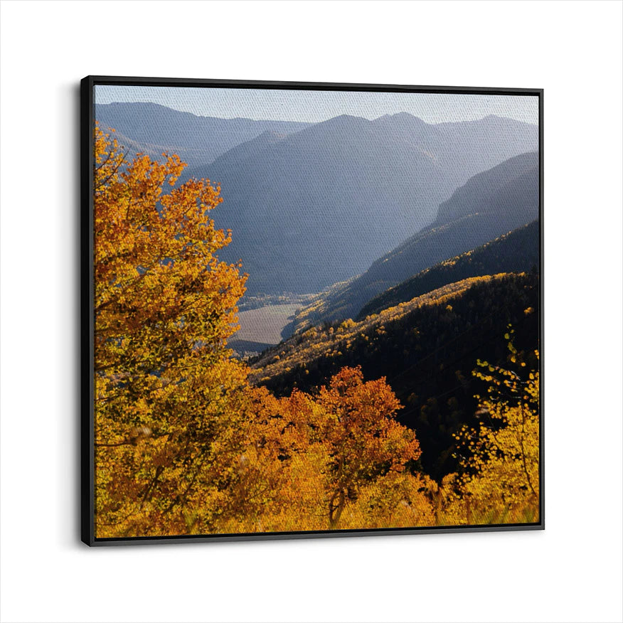 framed-canvas-black